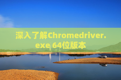深入了解Chromedriver.exe 64位版本 深入了解Chromedriver.exe 64位版本
